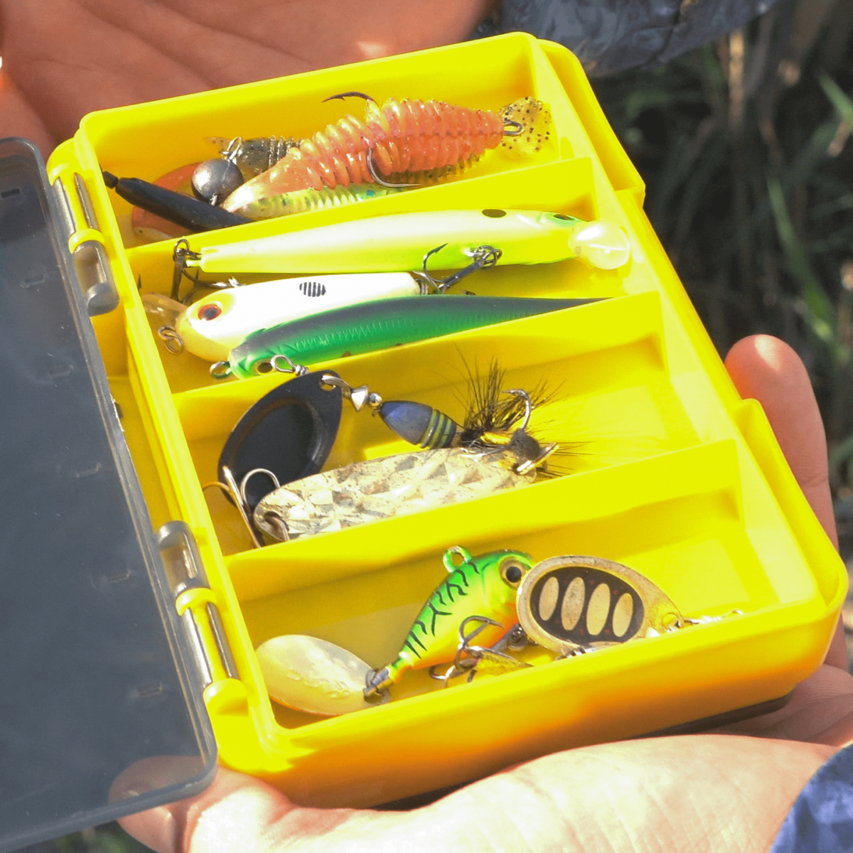 golden catch reversible worm case rwc 1410f
