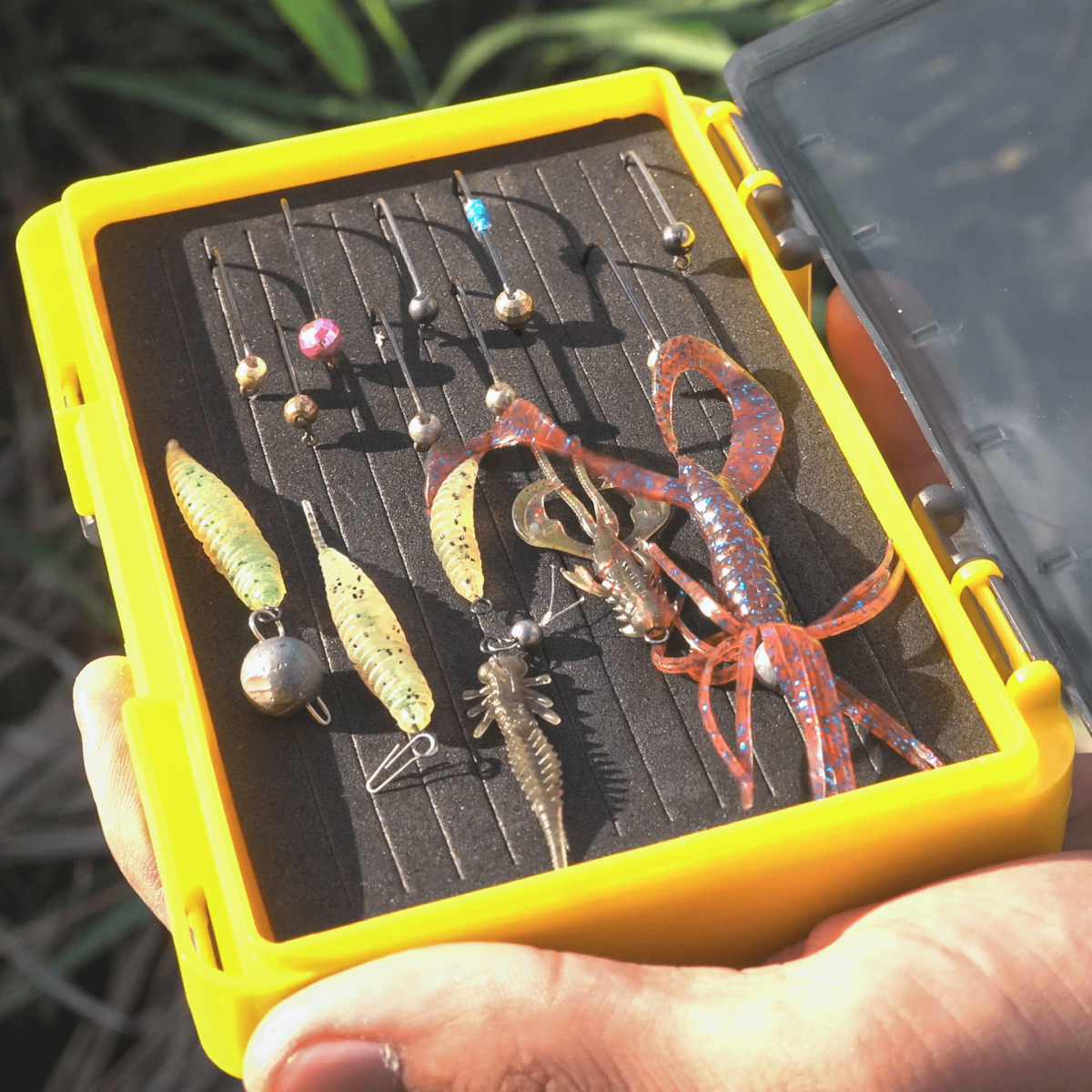 golden catch reversible worm case rwc 1410f