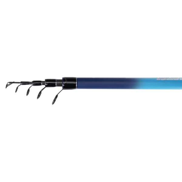 golden catch rod euro master bolo 5 00m