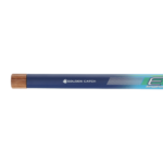golden catch rod euro master pole 5 00m