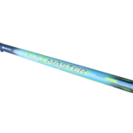 golden catch rod euro master pole 5 00m