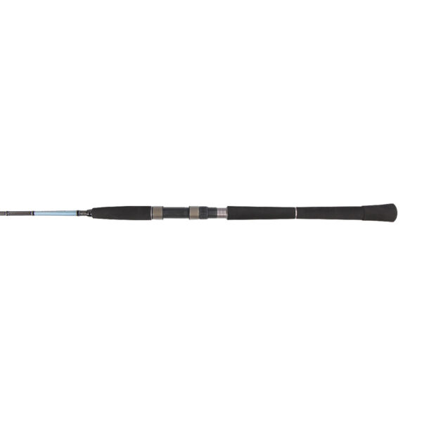 golden catch rod rocky 1 65m 20lbs