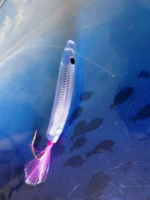 Yamaria SURF YUMIZUNO 45 # KH » Fish.bg | Хвани повече с Fish.bg