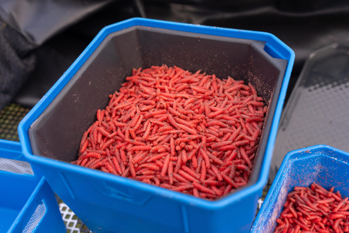 4pt bait tub