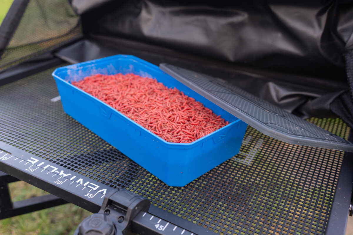 6pt bait tub