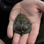 AVID CARP METHOD FEEDER - 2.0oz » Fish.bg | Хвани повече с Fish.bg