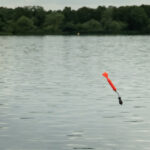 avid compact marker float kitaly
