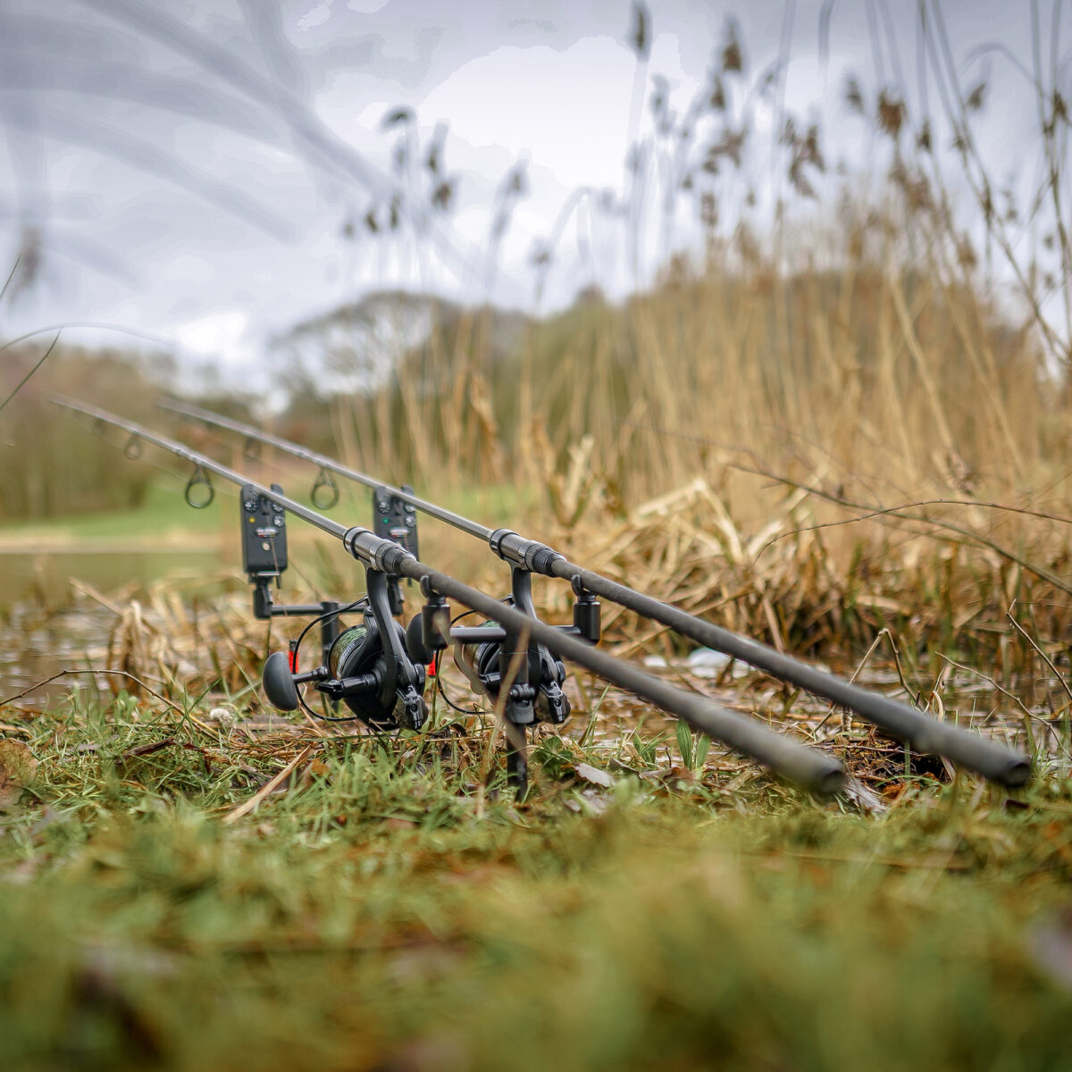 avid lok down 2 rod fixed buzz bar   6