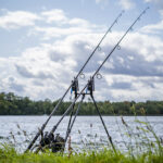 avid lok down 3 rod buzz pod   12