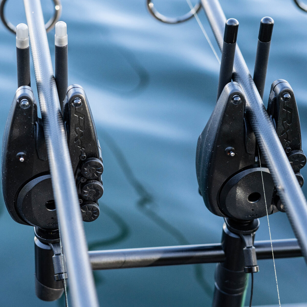 avid lok down snag ears