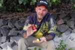 black cat 10g mushroom u float black