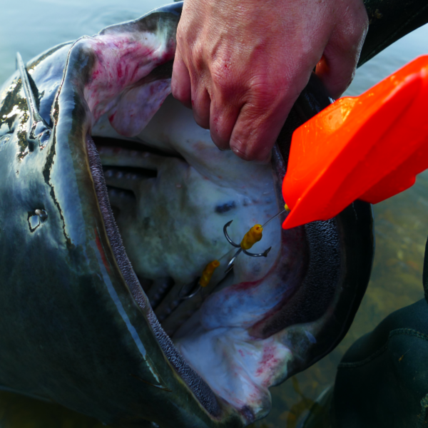 10g Black Cat Propeller U-Float X-Strong neon red UV active » Fish.bg | Хвани повече с Fish.bg
