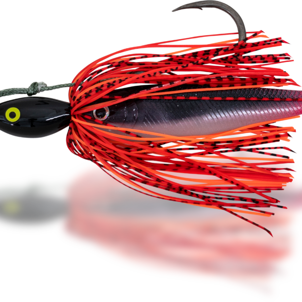 30g baITALY fish Black Cat Cat Chatter » Fish.bg | Хвани повече с Fish.bg