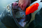 black cat 30g propeller u float x strong neon red uv active