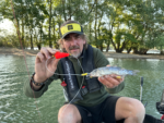 black cat 6 0 baitfish tree rig l 200m 2 mainline 120mm