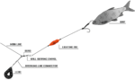 black cat 6 0 lighting rig l 200m 2 mainline 120mm