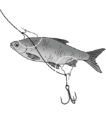 black cat baitclips