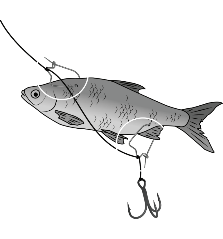 black cat baitclips