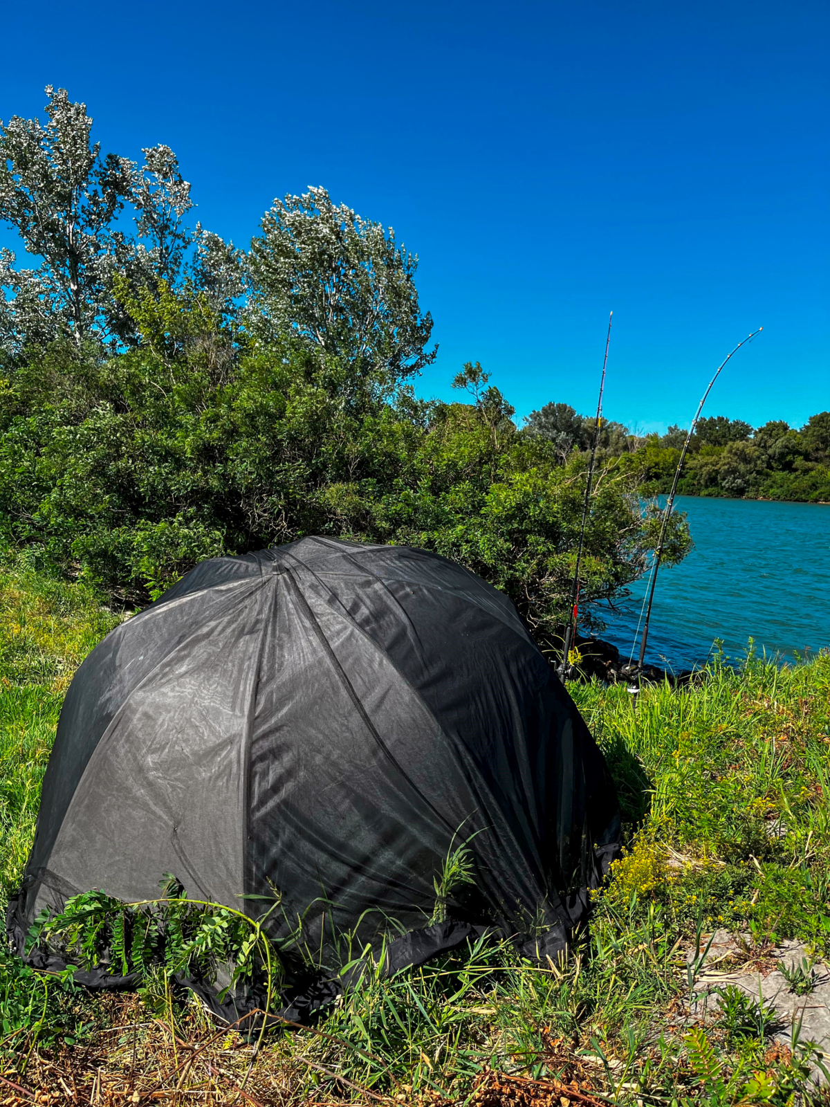 black cat extreme oval umbrella w 345cm h 260cm d 305cm