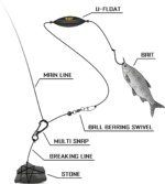 black cat multi snap