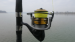 black cat passion pro fd model 640 bb 6 230m 022mm drag f 65kg 14lbs