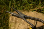 black cat pistol pliers