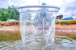 CARBON EURO MATCH LANDING NET 18" » Fish.bg | Хвани повече с Fish.bg