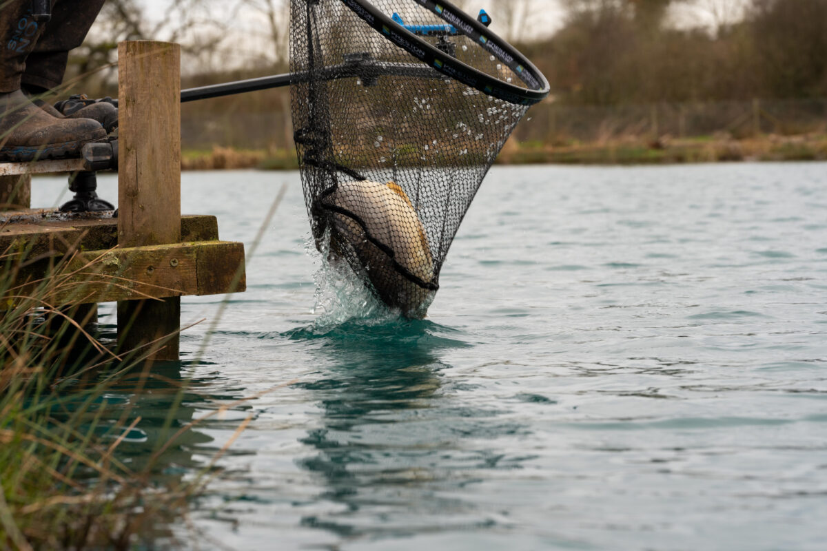 carp xs 18 landing net