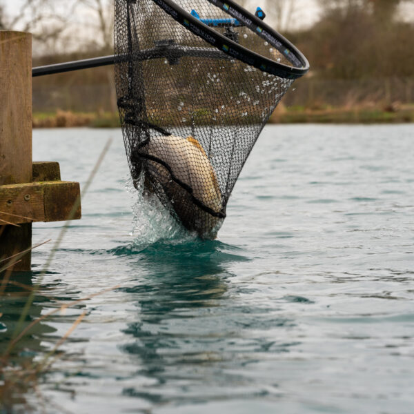 Carp XS 20" Landing Net » Fish.bg | Хвани повече с Fish.bg
