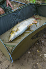 classic barbel   fast mat