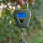 compact digitalyal scales