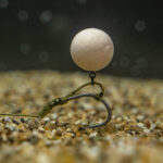 d rig kicker   large