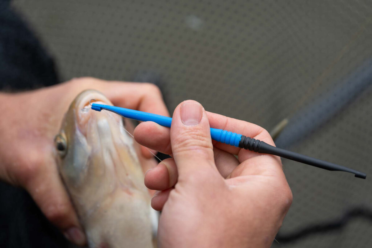 floater disgorger baiting needle