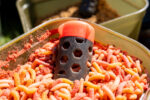 floating feeder