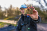 ics baitaly up feeder   medium 20g