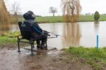ignitalyion feeder chair combo
