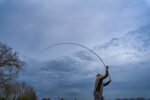 limitless feeder   6oz quiver tip