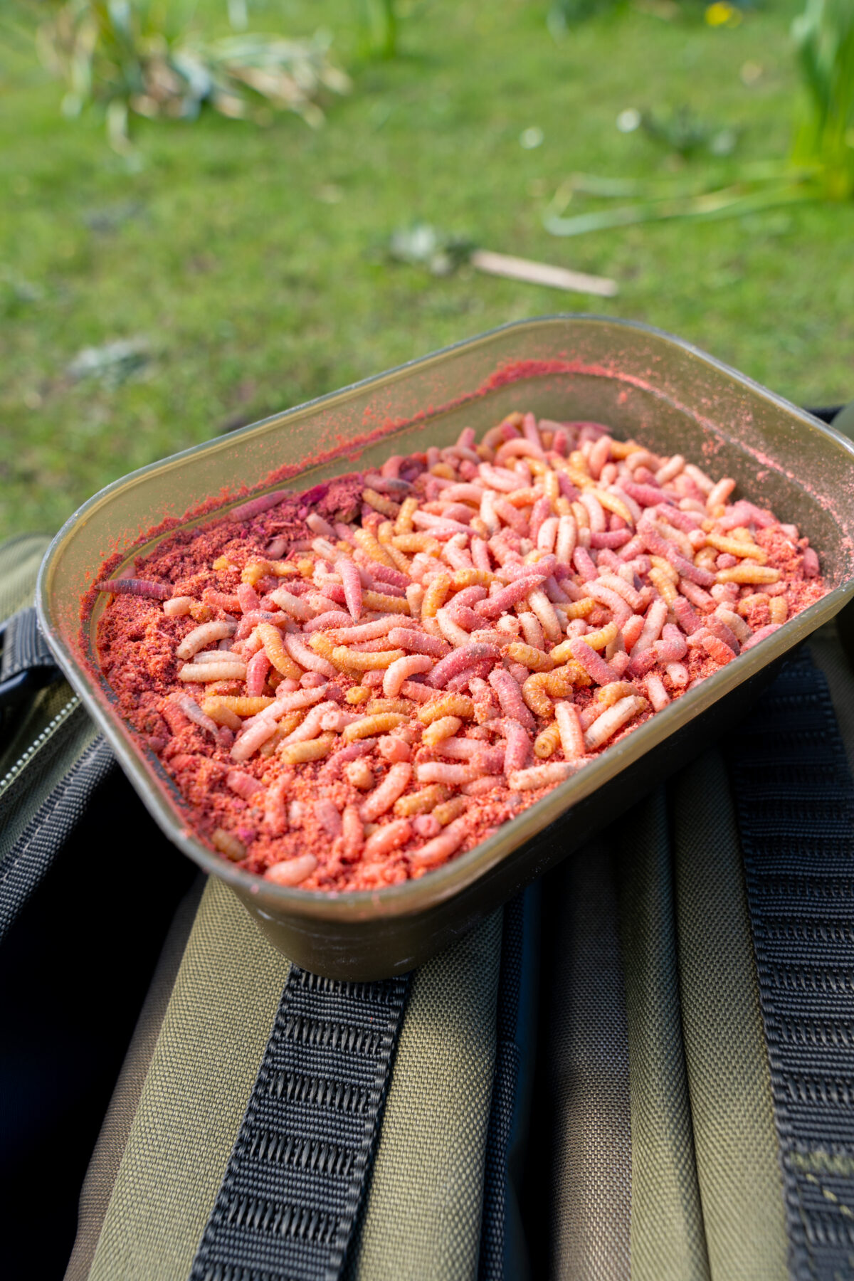 maggot bait tub   1pt 0 6l