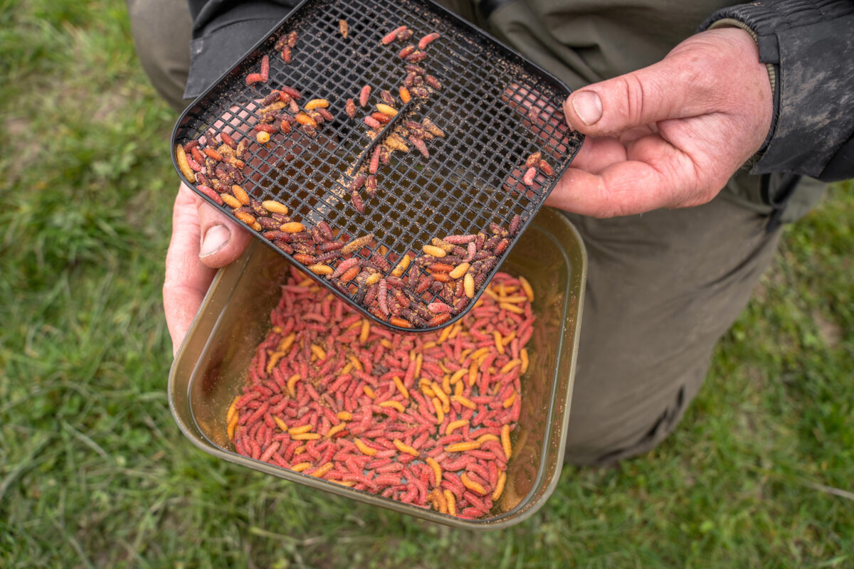 maggot tub and riddle   2pt 1 2l