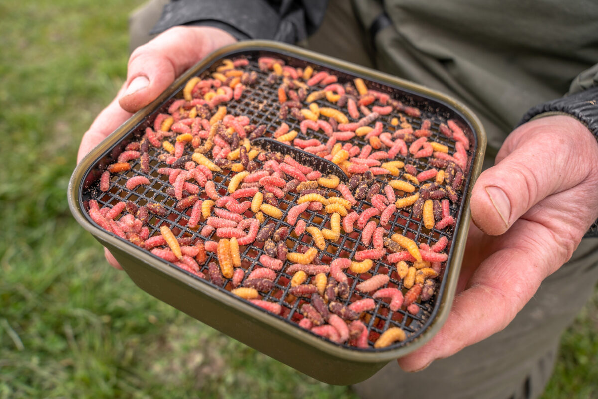 maggot tub and riddle   2pt 1 2l