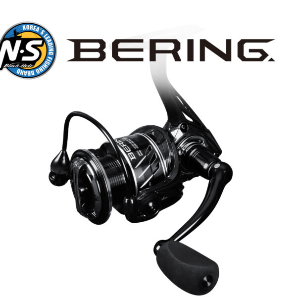 makara s preden avans bering 2000hgs n s black hole