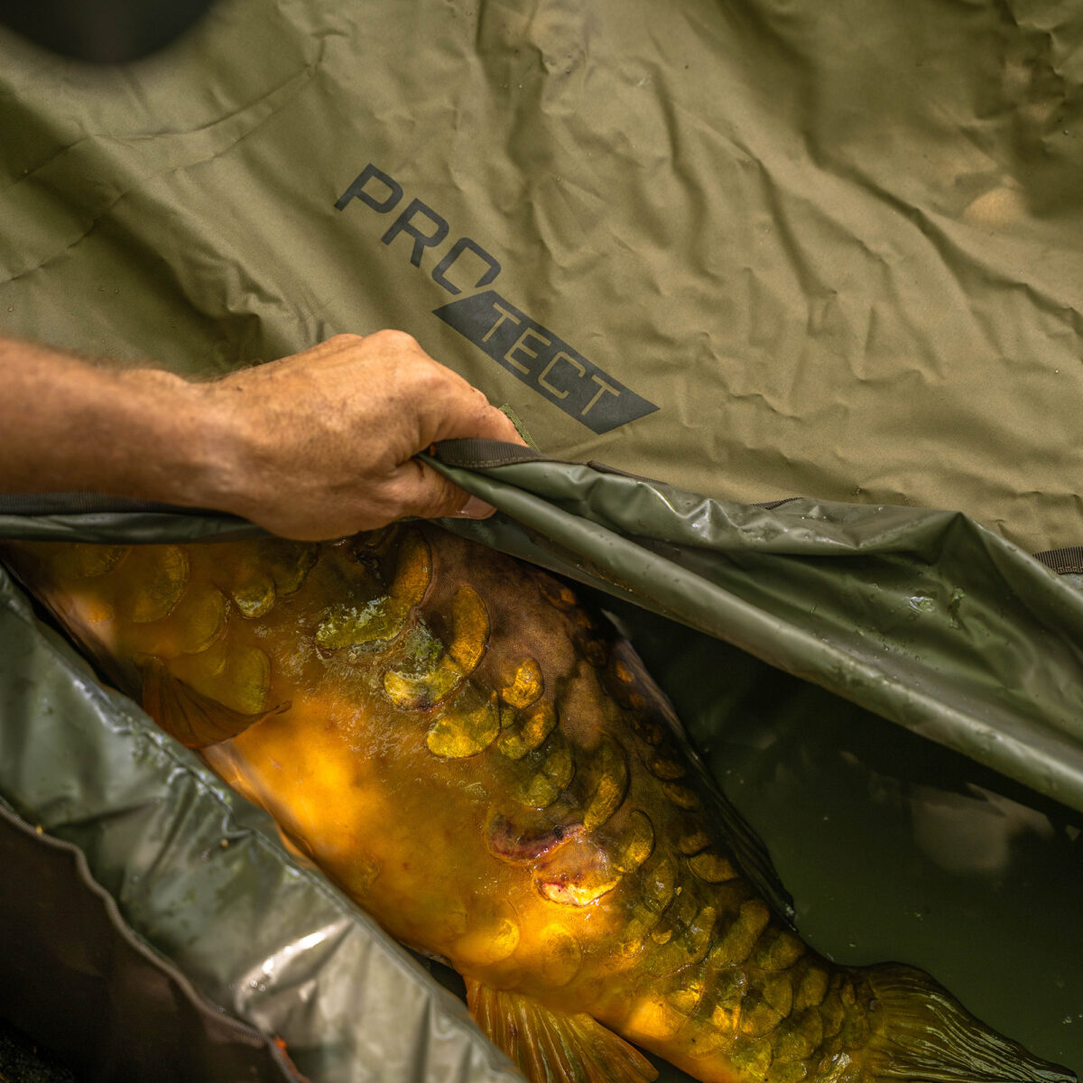 pro tect deluxe cradle