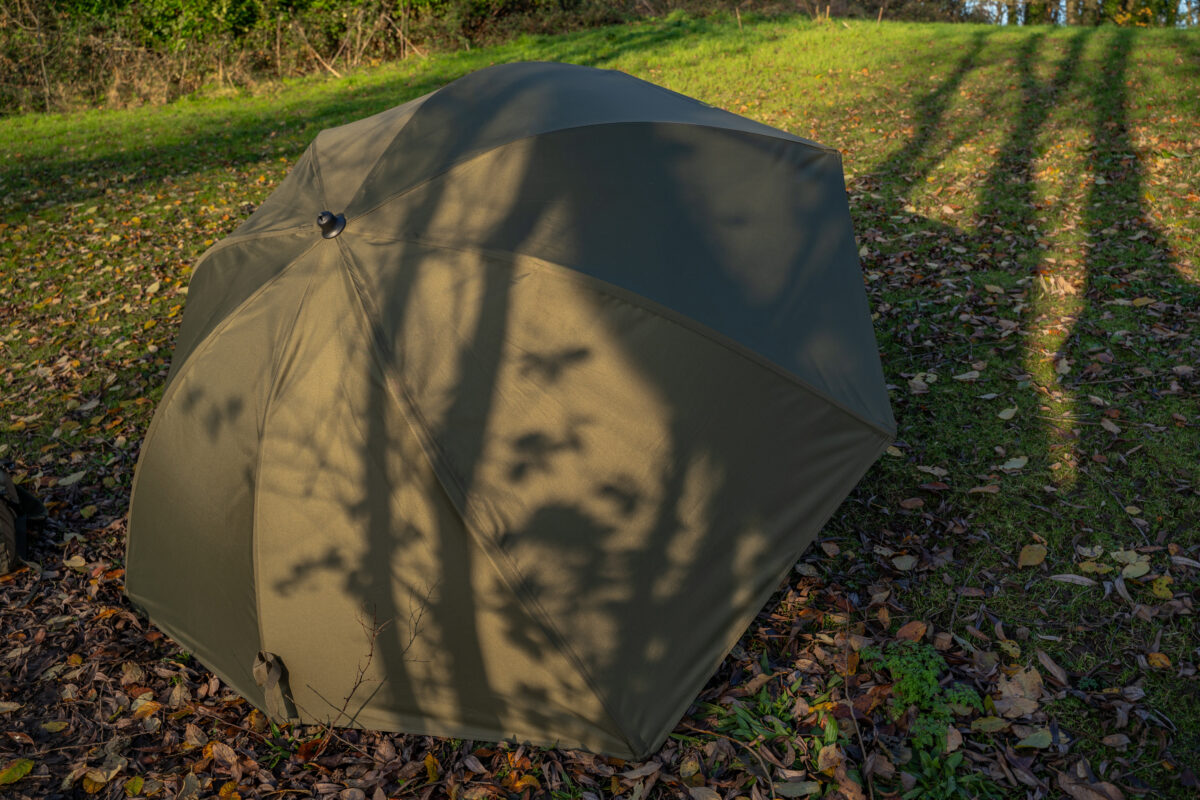 progress   graphitalye brolly 50