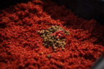 sonu pro groundbait   robin red 900gr