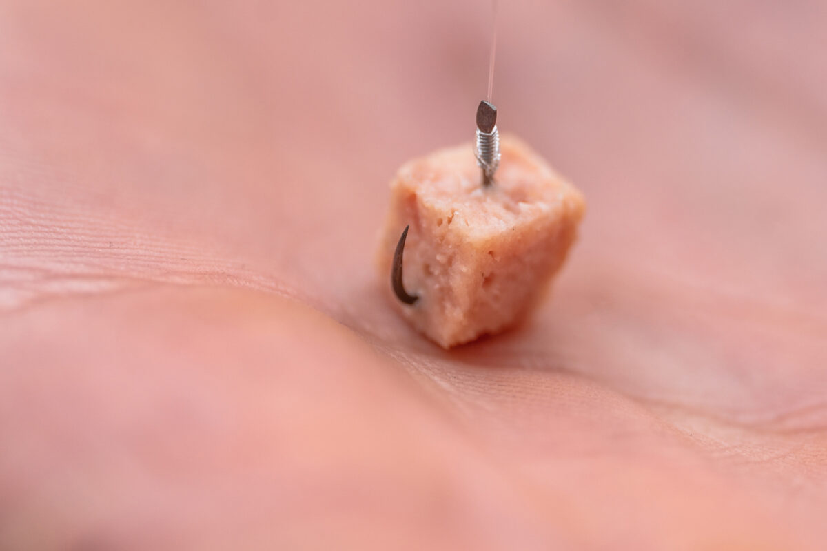 xs02 b size 10 hooks