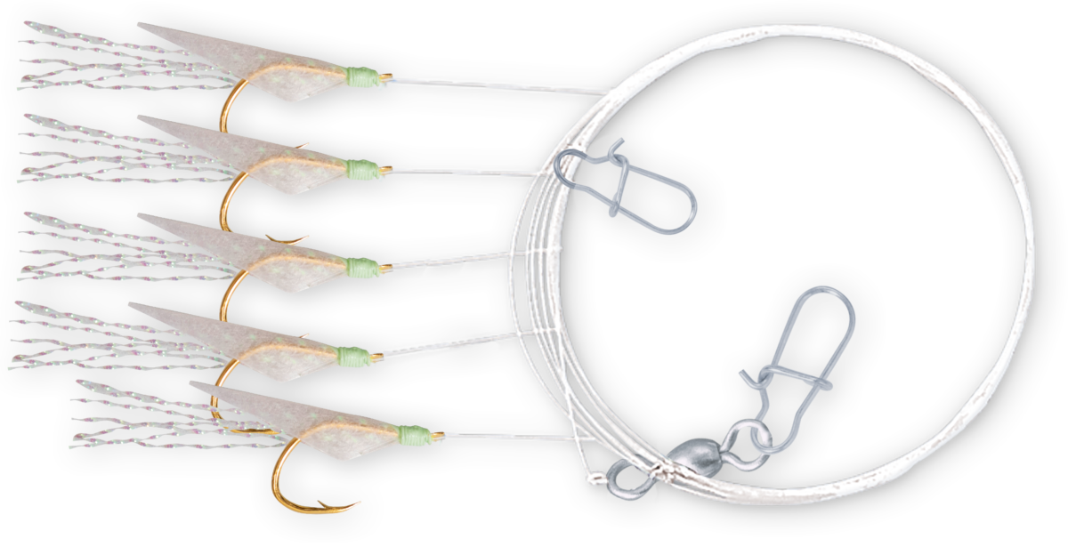 zebco 10 holografix rig 5 mainline 040mm transparent