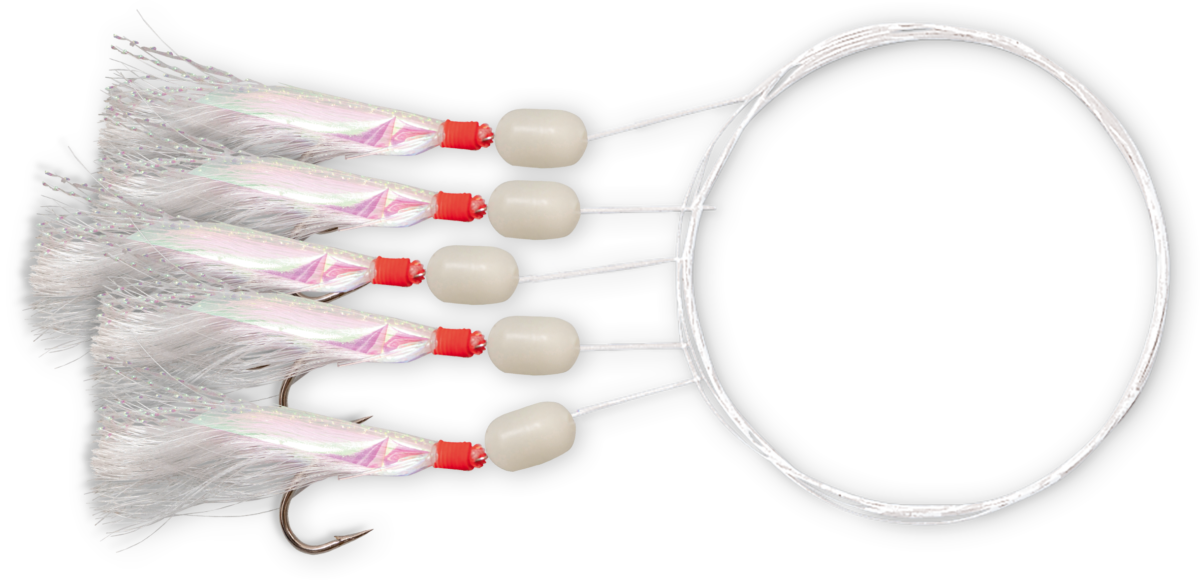 zebco 2 0 holografix mackerel 5 mainline 050mm transparent