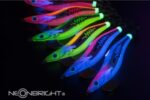 EGI OH SEARCH 2.5 075 BP » Fish.bg | Хвани повече с Fish.bg EGI OH SEARCH 2.5 075 BP » Fish.bg | Хвани повече с Fish.bg